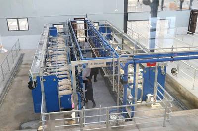 聚力奶綿羊發展，培育“乳肉”兼用新品種，助力肥料生產新篇章